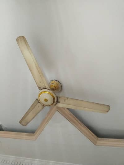 pak fan 6 fans Cooper winding