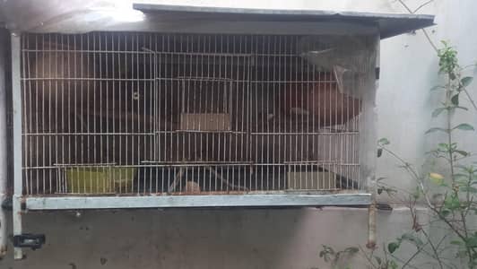 2 × Solid iron Cages 3 ×1.8 ft ,,whatsapp 03007000074