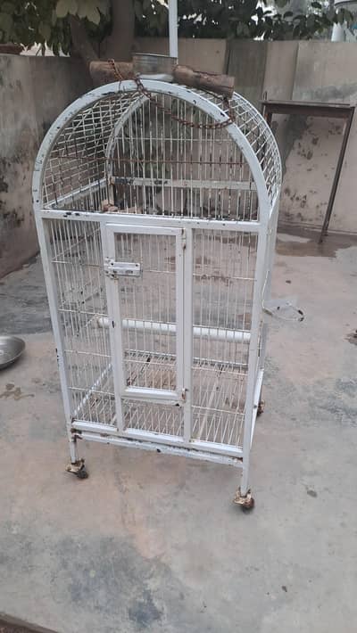 Cage for African Grey