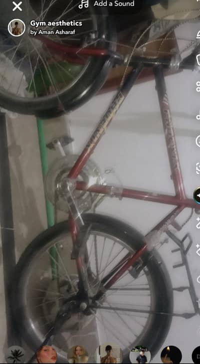 Gear bicycle