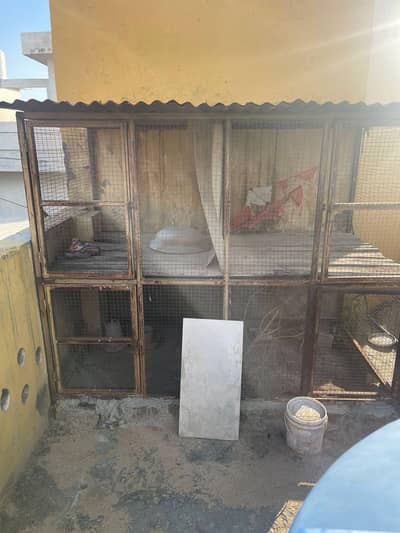 best hen cage 10/10 condition