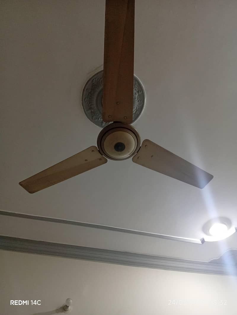ceiling fan 1
