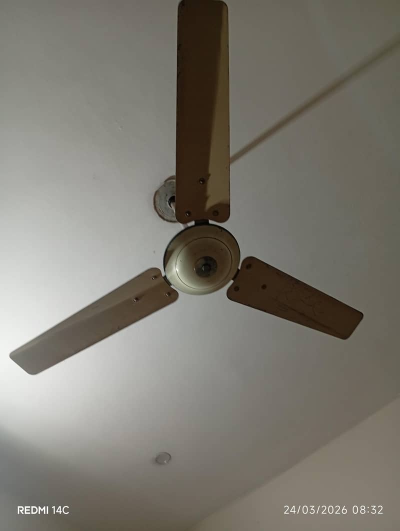 ceiling fan 2