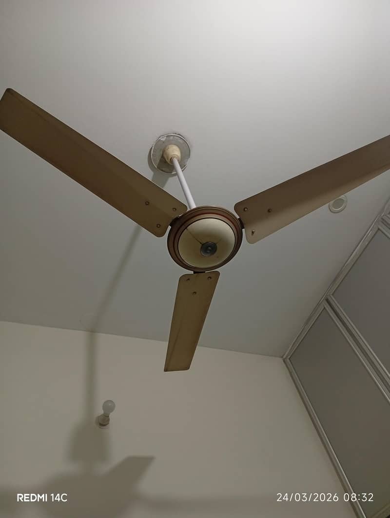 ceiling fan 3