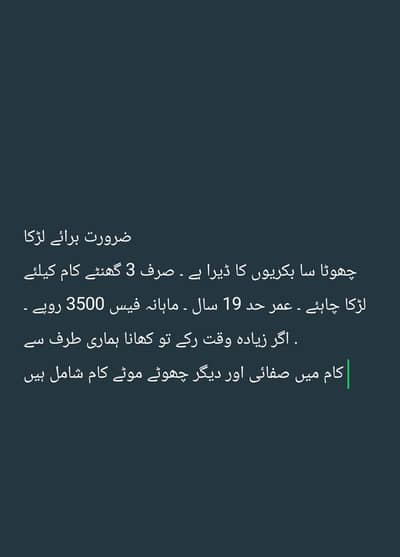 3 hours dairy par Kam k leye larka cahiye