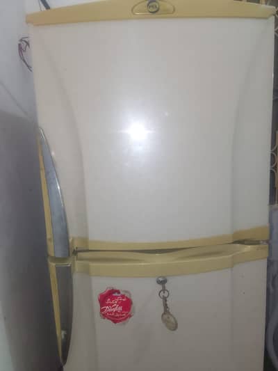 PEL (Refrigerator) Fridge for sale in reasonable price, pics attached