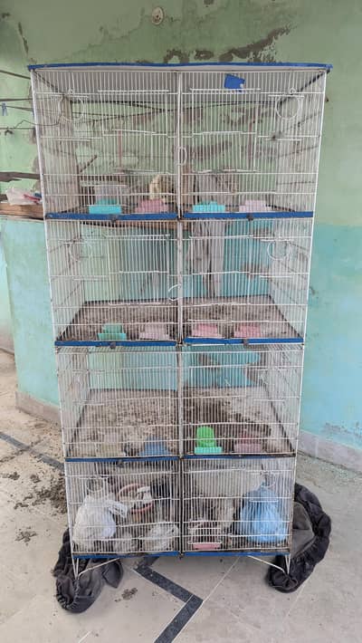 8 Portions Cages / Pinjry