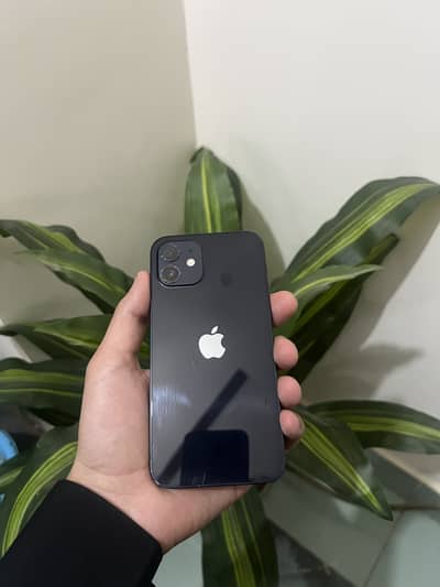 Iphone 12 PTA Approved