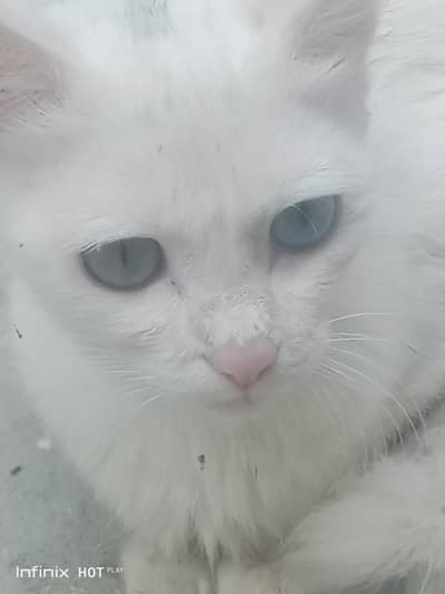 AK bale ha ache nasal ki jasko be zarorat ha rabta kare