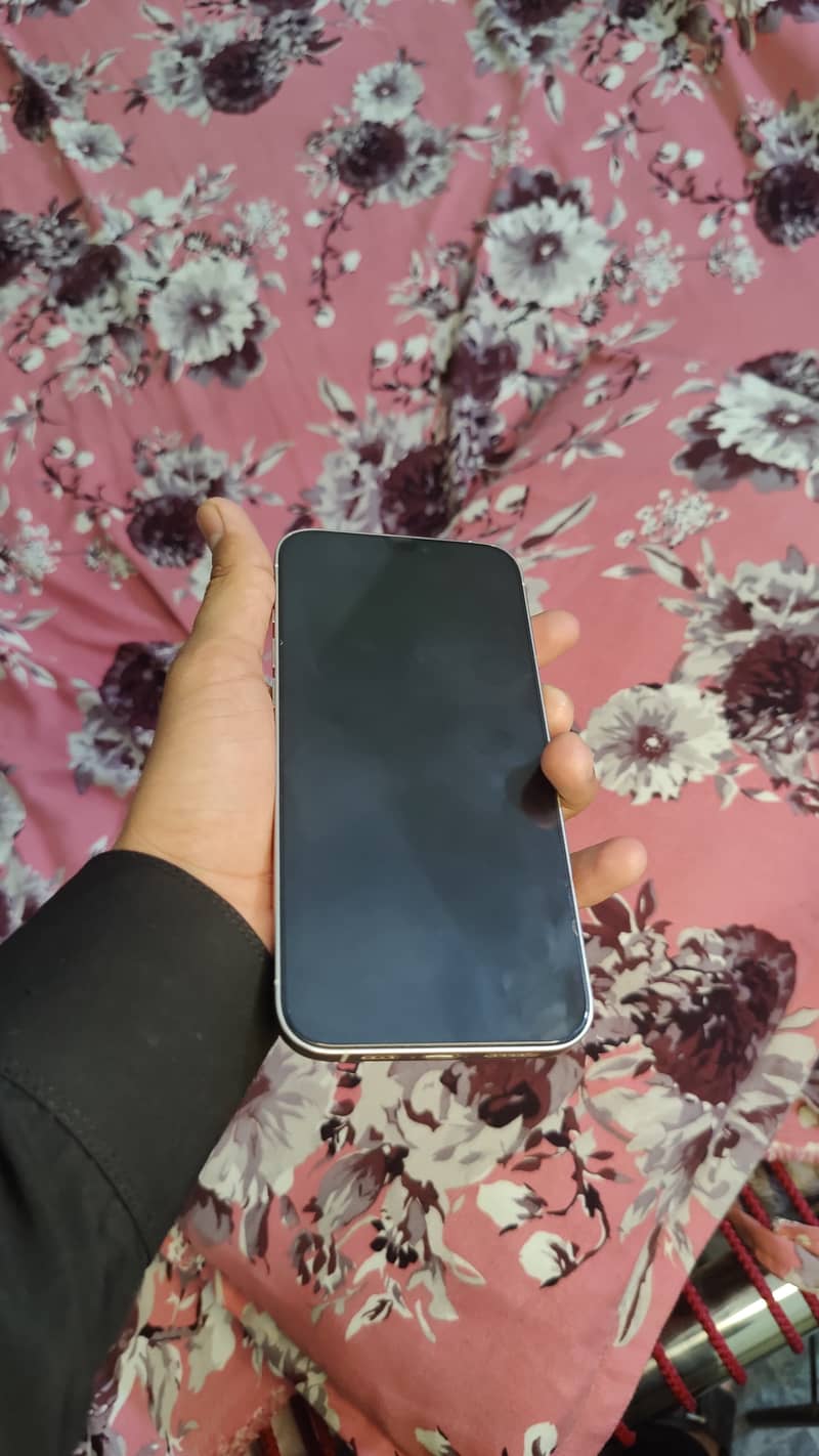 Iphone 12 Pro Max 1