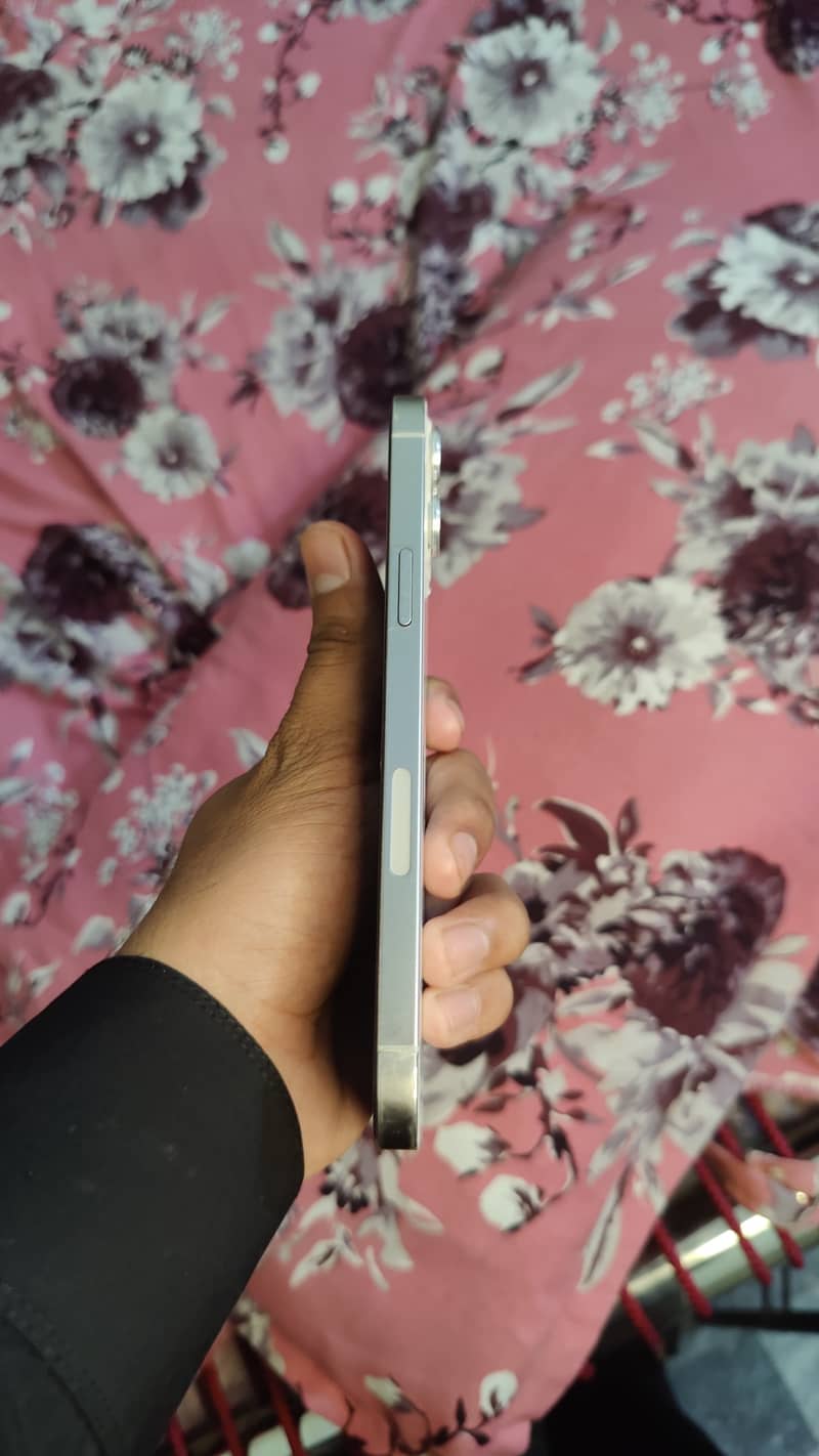 Iphone 12 Pro Max 4