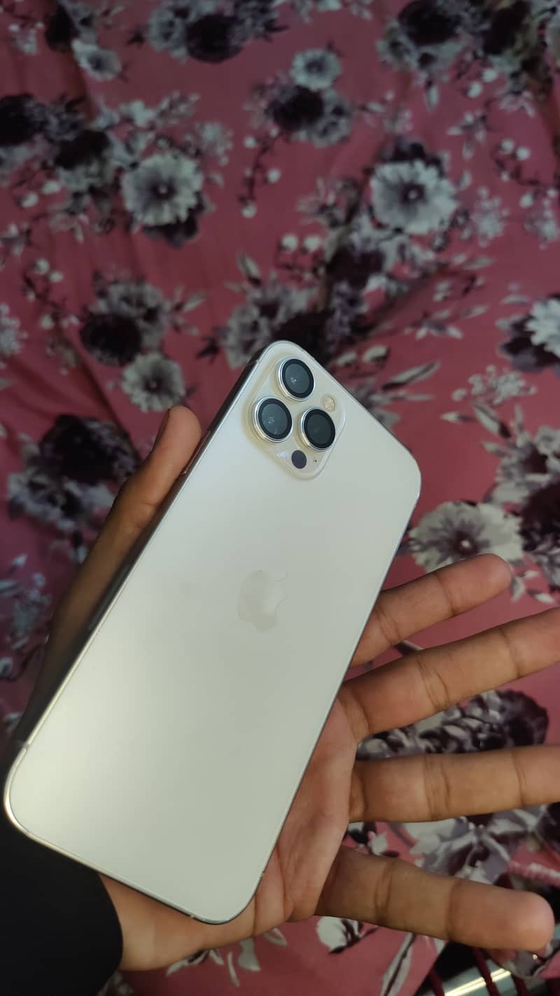 Iphone 12 Pro Max 6