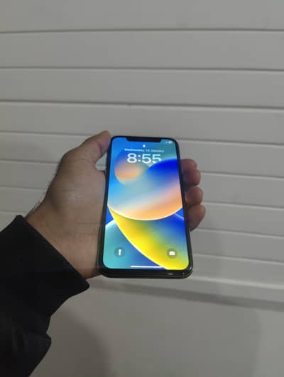 Apple iPhone X
