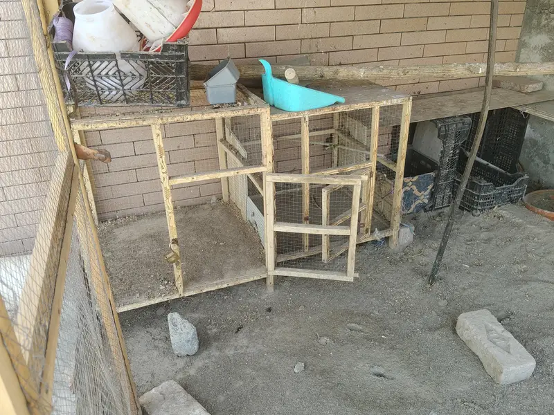 Cages — photo 2