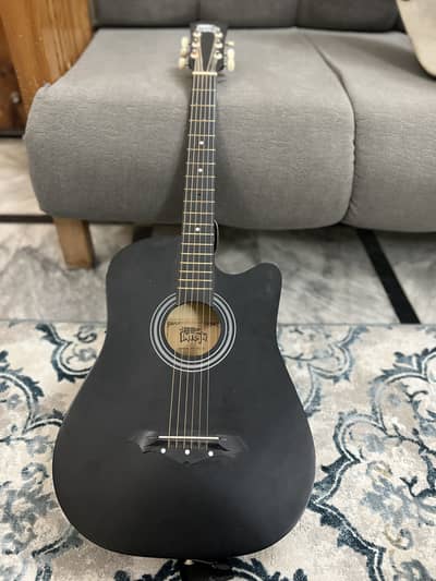 Acoustic Guitar