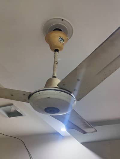 Home used celling fans for sale