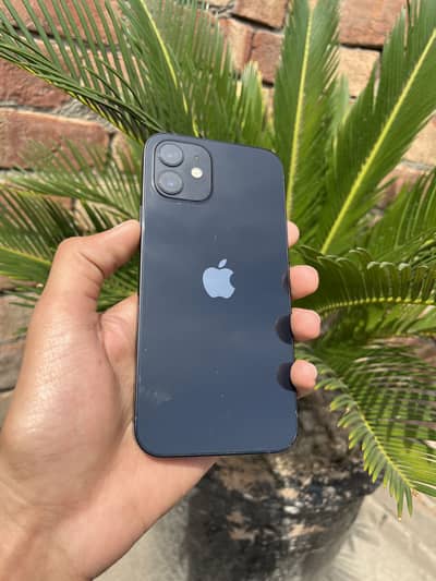 Iphone 12 pta approved (urgent sale)