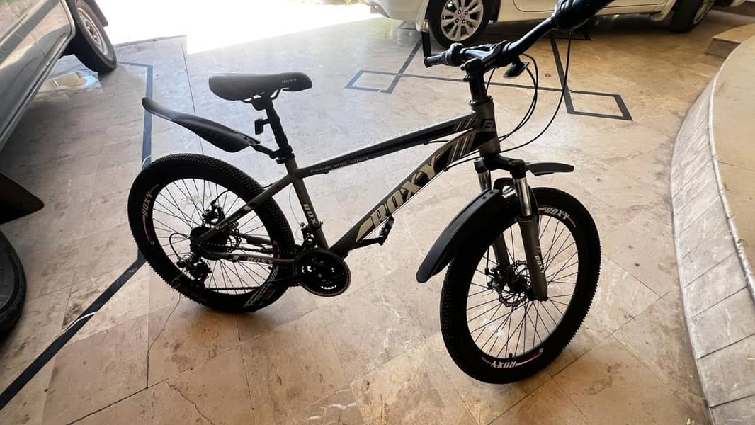 Roxy mountain bicycle 1