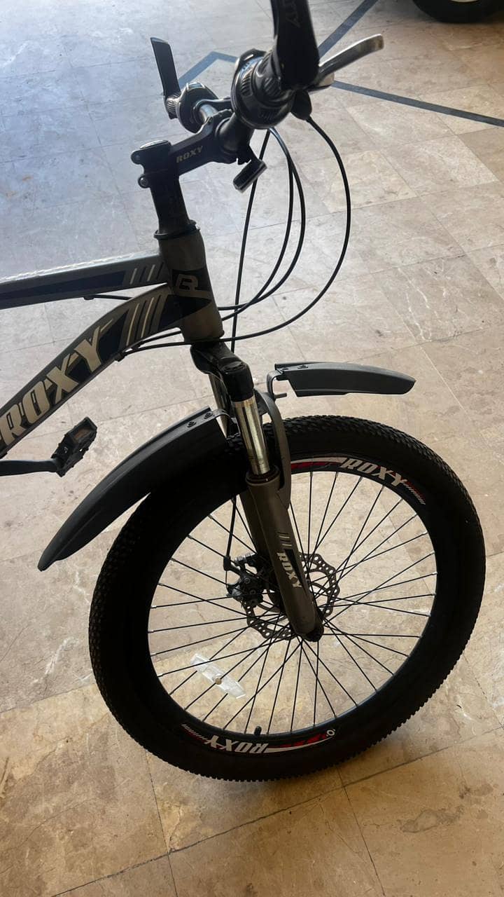 Roxy mountain bicycle 2