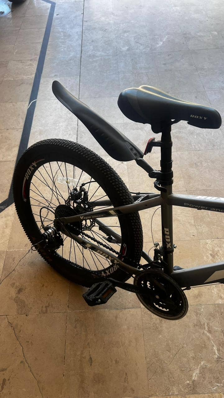 Roxy mountain bicycle 3