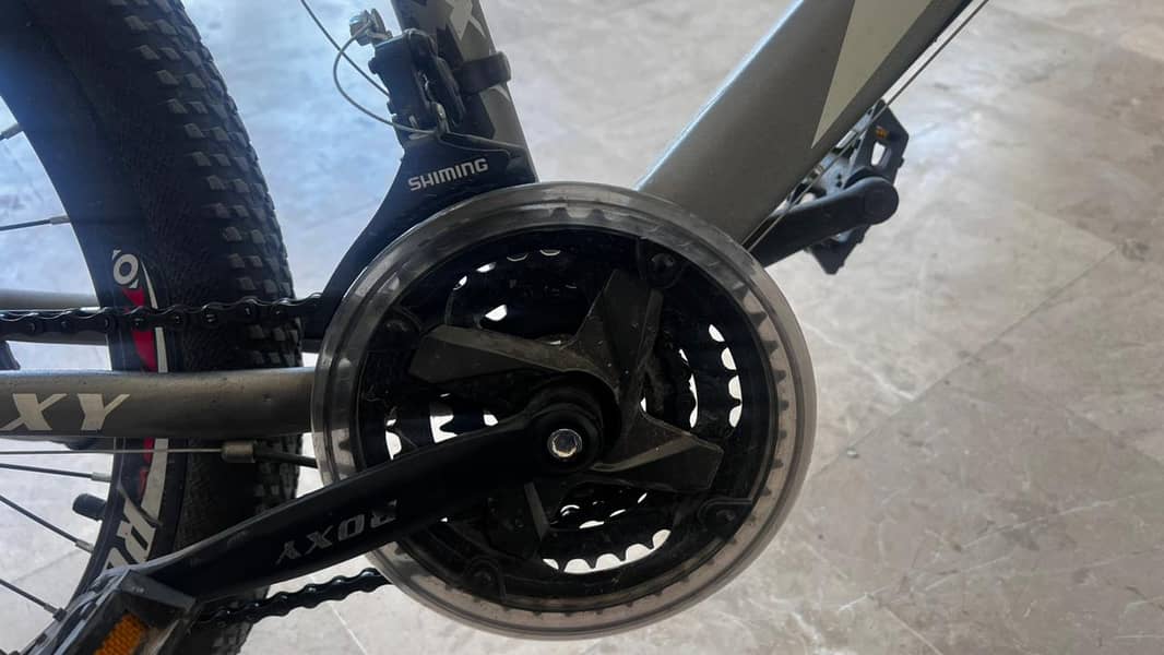 Roxy mountain bicycle 5