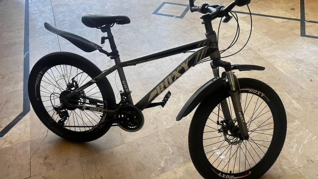 Roxy mountain bicycle 8