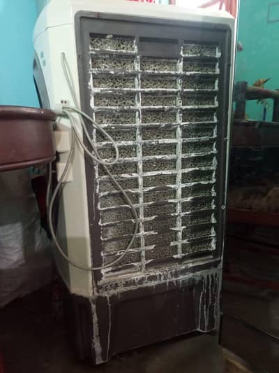 air cooler