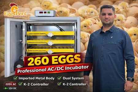 Eggs Incubator , Brooders  Upgrade Models Full Automatic Digital
