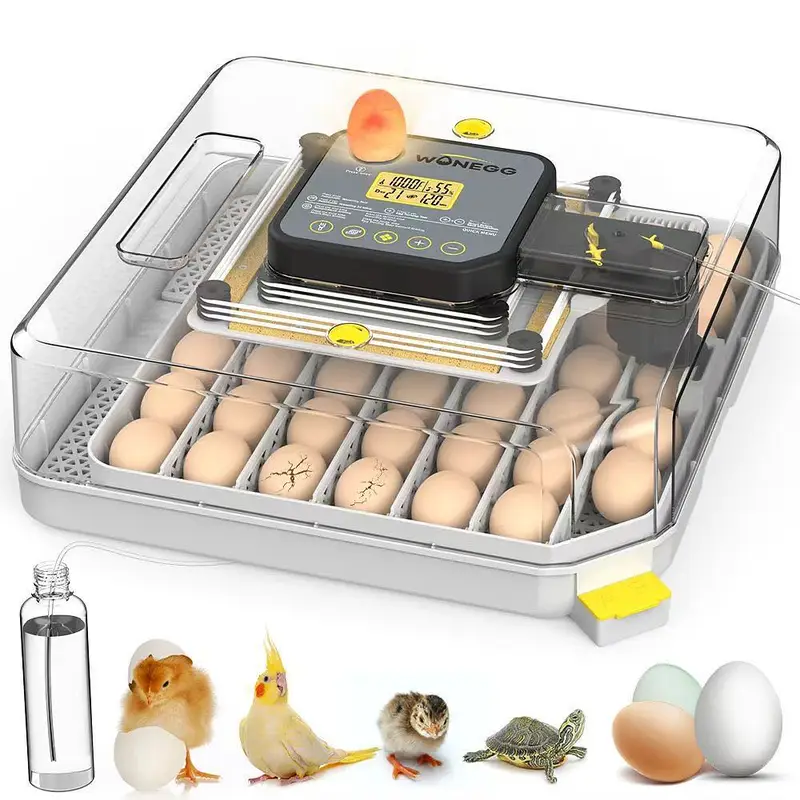 Eggs Incubator ,Brooders  whole Sales Models Full Automatic Digital — photo 10