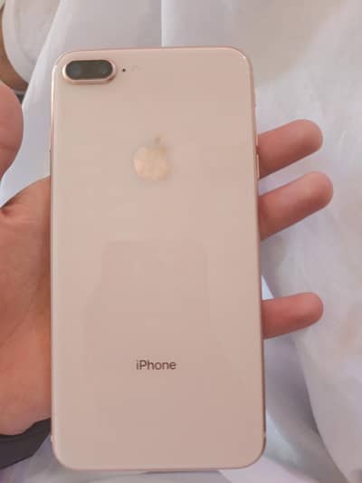 03295199846 contact number  half white lush push condition