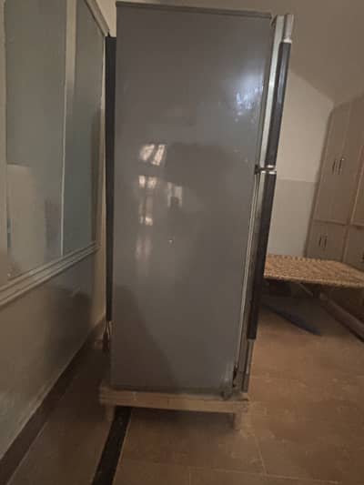 Large storage fridge