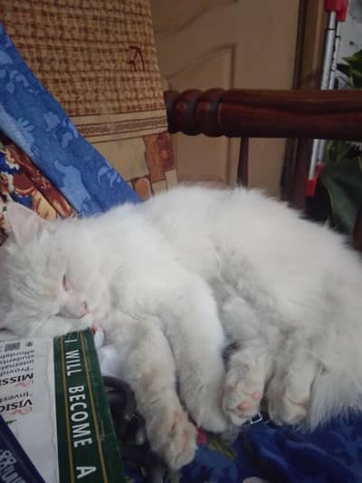 10/10 condition guarantee and location Shakupura Khalid road