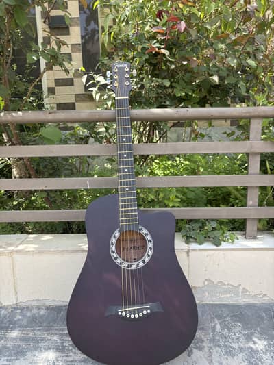 acoustic guitar