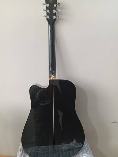 Washburn Original Semi Acoustic Guitar Lahore