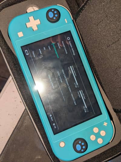 Nintendo switch lite