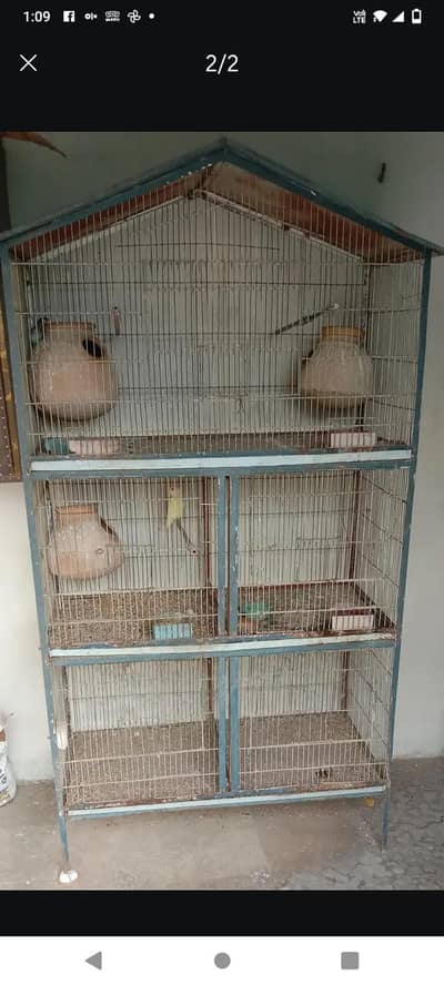 5 portion cage with 2 pairs