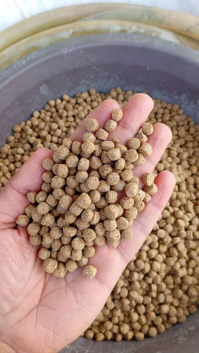 High Protine Fish Feed