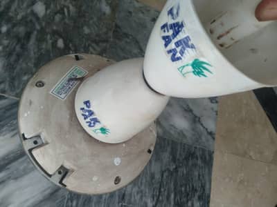 Pakfan copper ceiling fan