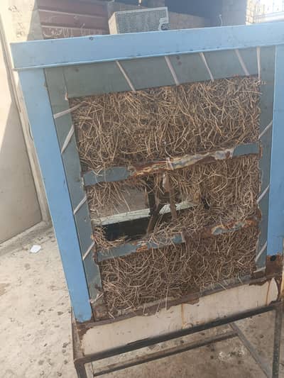 air collar for sale 03153875996