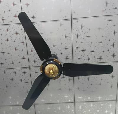 Ceiling fan 100% ok. 1 season used only