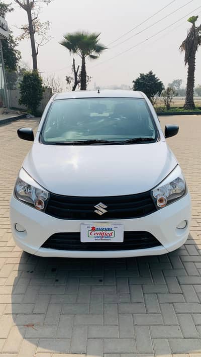 Cultus 2019 in original color