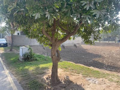 5 Marla Plot for Sale Overseas Block, Park View City