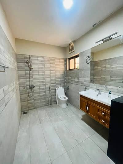 17 Marla 5 Bed Brigadier Extra Land 4.0 Marla House For Sale In Askari 10, Lahore