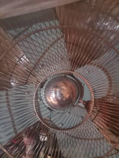 nice fan 03281718990