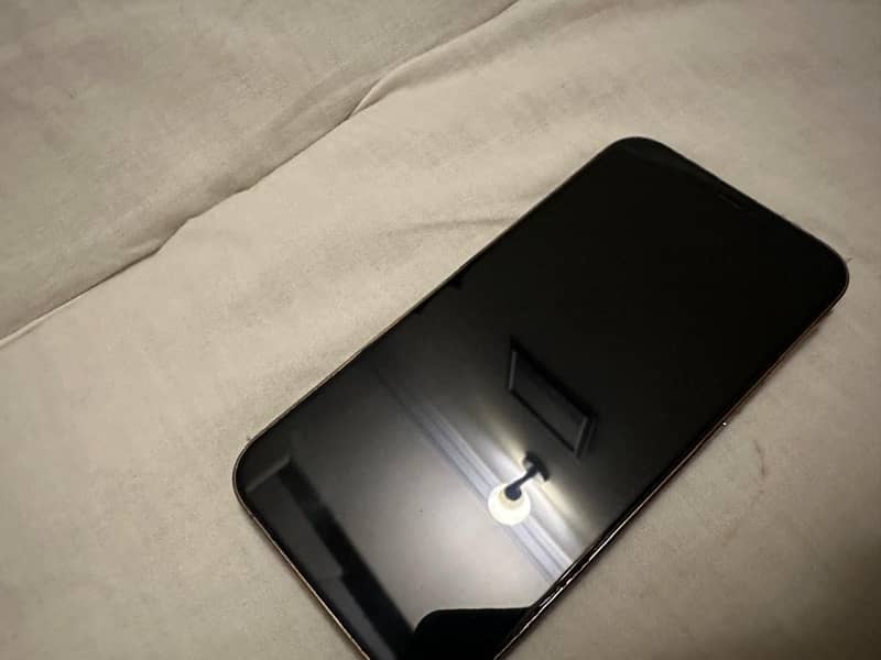 12 pro max 2