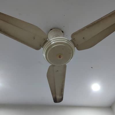 fan For Sale   Cooper Vip
