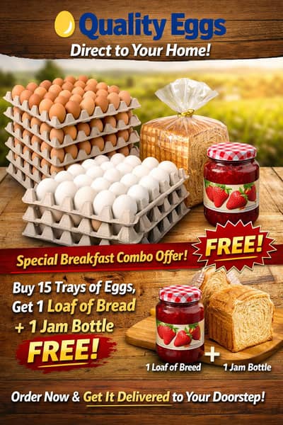 Fresh Farm Eggs – Direct to Your Home!