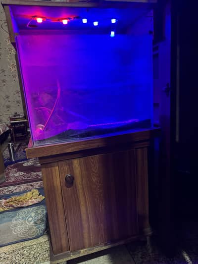 Aquarium with wooden trolly