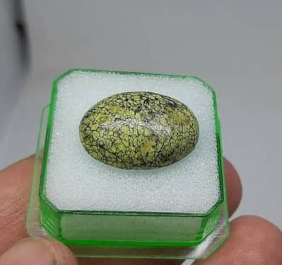 zeher moora for sale