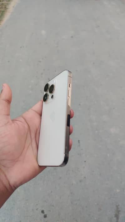 Golden colour 10/10 water pack